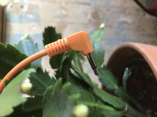 Elevator Sound Cables 10cm Orange Right Angled Eurorack (Single)
