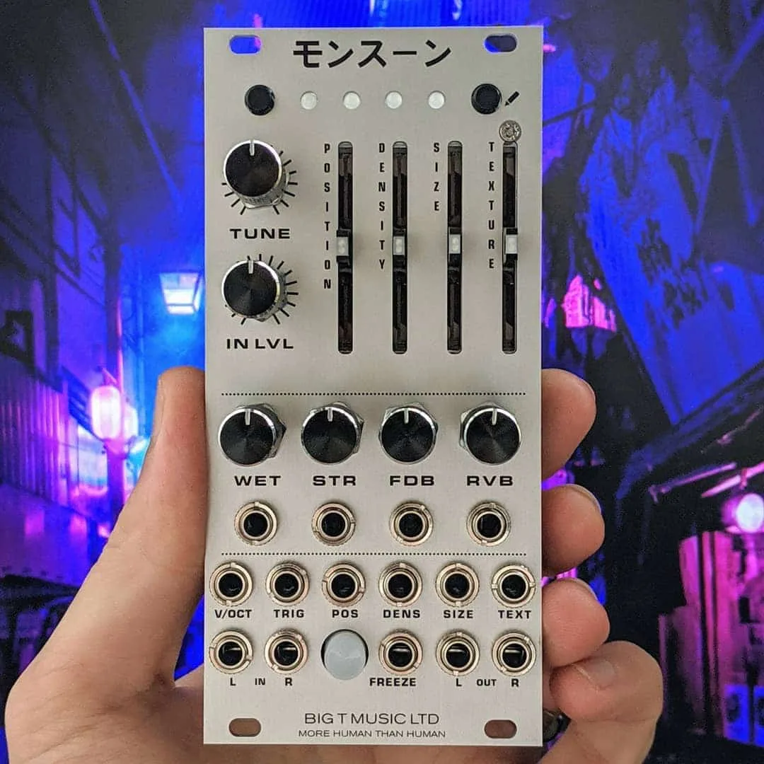Big T Music Monsoon (Mutable Instruments Clouds) (Silver