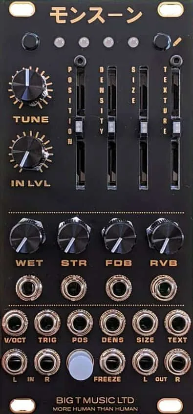 Big T Music Monsoon (Mutable Instruments Clouds) (Black