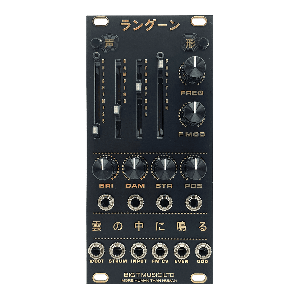 Big T Music Rangoon Eurorack Rings Reissue Module (Black/Gold)