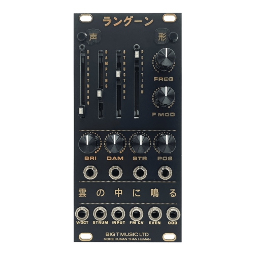 Big T Music Rangoon Eurorack Rings Reissue Module (Black/Gold)