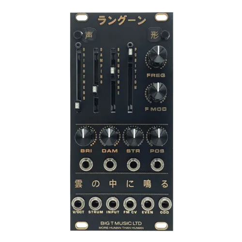 Big T Music Rangoon Eurorack Rings Reissue Module (Black/Gold)