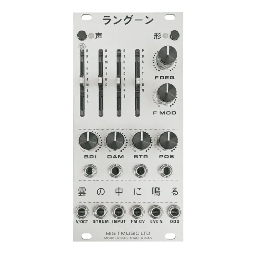 Big T Music Rangoon Eurorack Rings Reissue Module (Silver)
