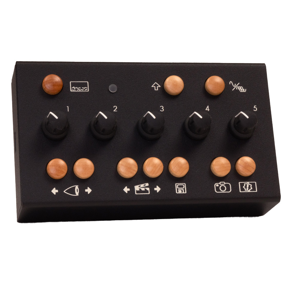 Critter and Guitari Eyesy Desktop Video Synthesizer (Black)