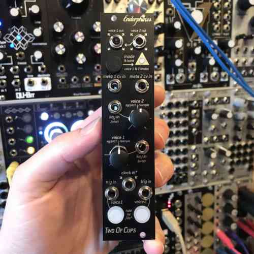 Endorphin.es Two Of Cups Eurorack Dual Channel Sampler Module [B-Stock]