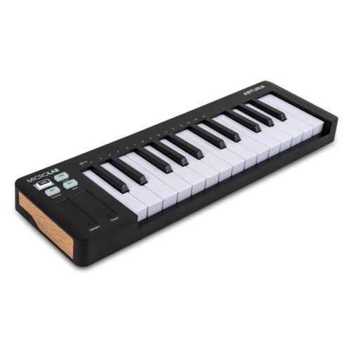 Arturia MicroLab Mk3 MIDI Keyboard Controller (Black)