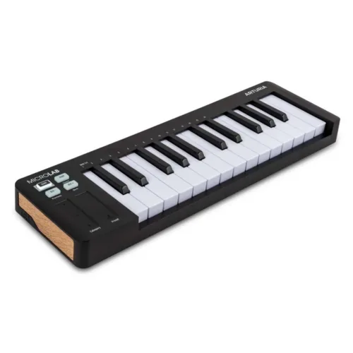 Arturia MicroLab Mk3 MIDI Keyboard Controller (Black)