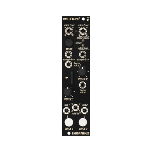 Make Noise Morphagene Eurorack Sampler Module - Elevator Sound